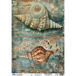 copy of 